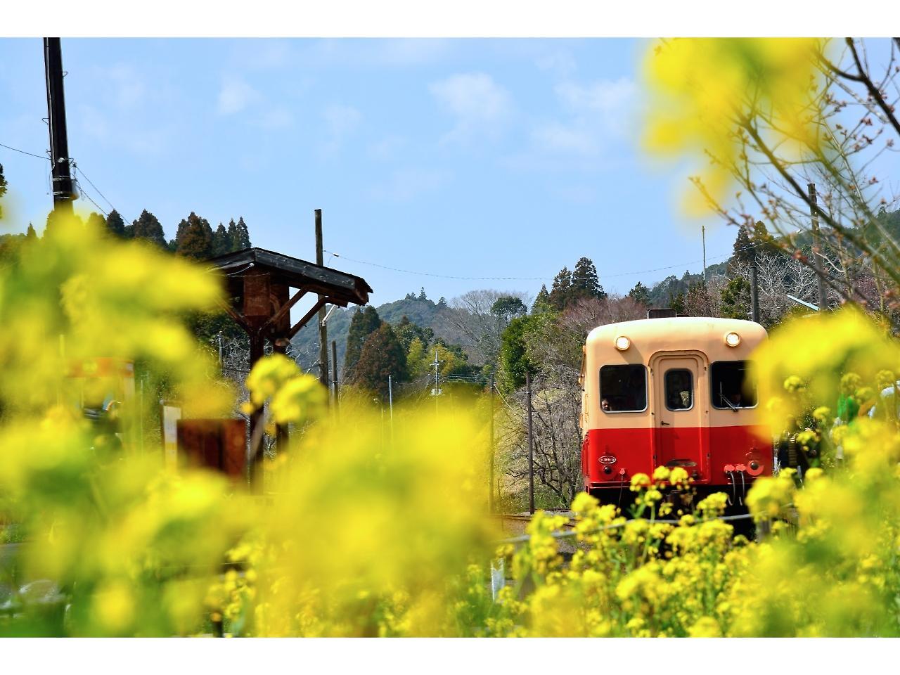 Goi Grand Hotel Ichihara Bagian luar foto