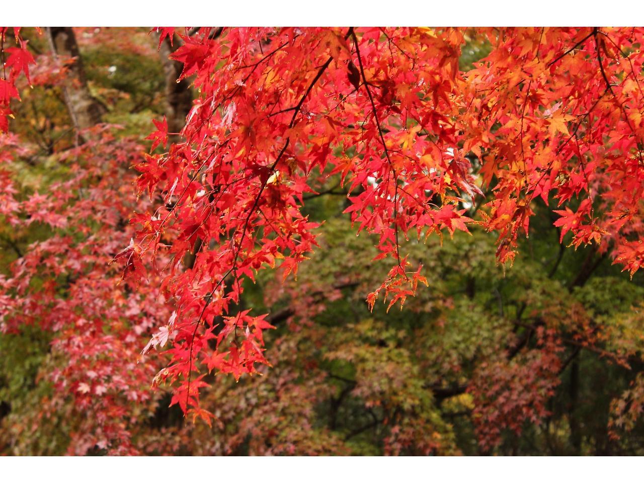 Goi Grand Hotel Ichihara Bagian luar foto