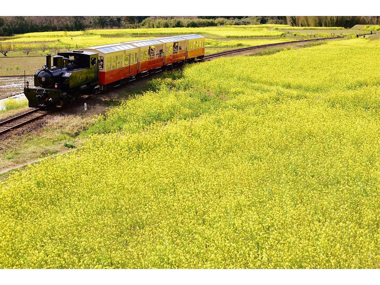 Goi Grand Hotel Ichihara Bagian luar foto